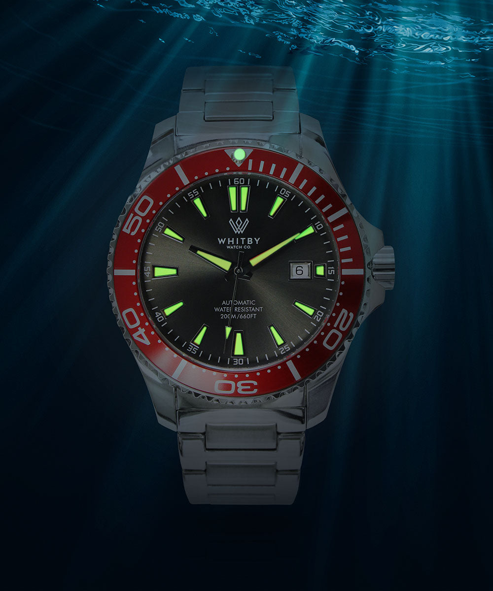 Intrepid Diver - RED